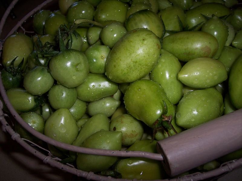 Green Tomato Relish – photo 2