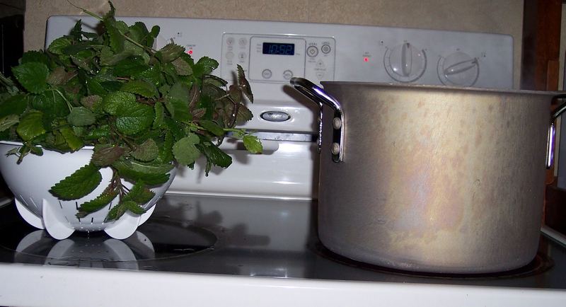 Lemon Balm Tea – photo 3