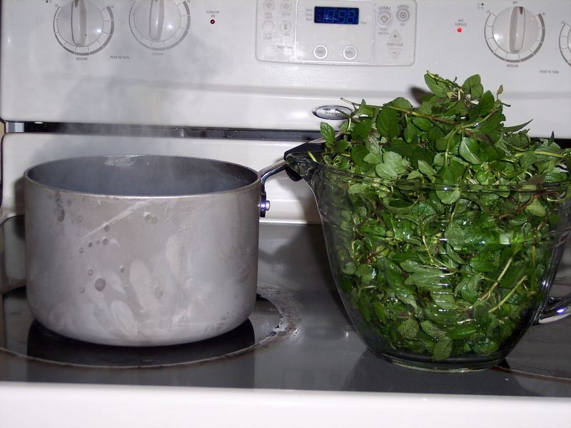 Peppermint Tea – photo 2