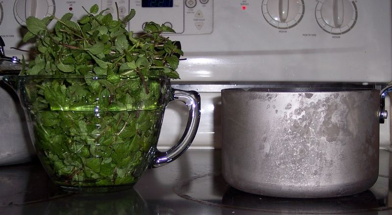Spearmint Tea – photo 2