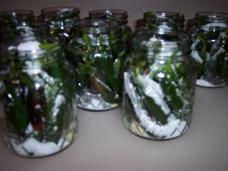 Jalapenos with Garlic & Salt – photo 3