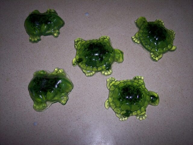 Herbs: A Place to Begin… Soap Making Kit