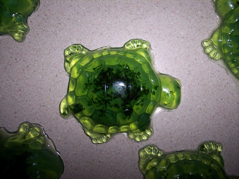 Soap Making Kit - Wow! That was easy! – photo 12