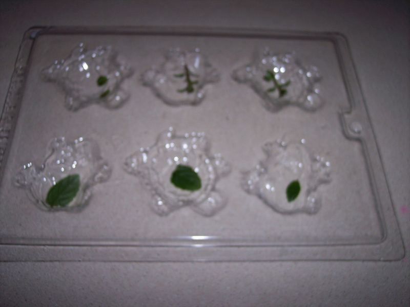 Soap Making Kit - Wow! That was easy! – photo 8
