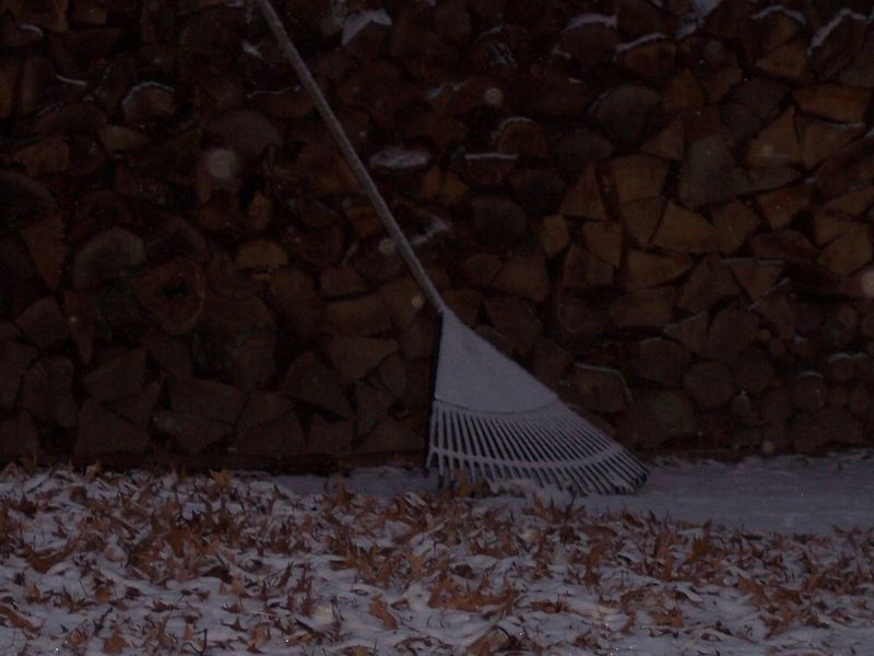Dusting of Snow – photo 1