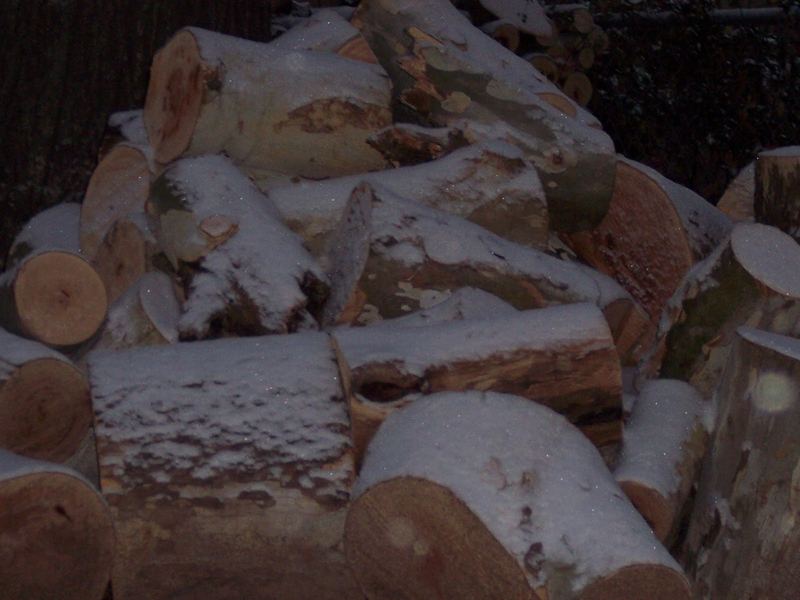 Dusting of Snow – photo 2