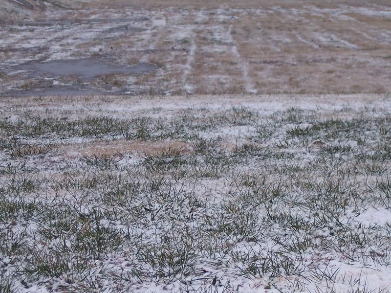 Dusting of Snow – photo 3