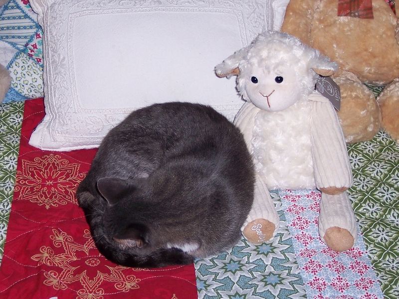 Quick Christmas Decorating – photo 3