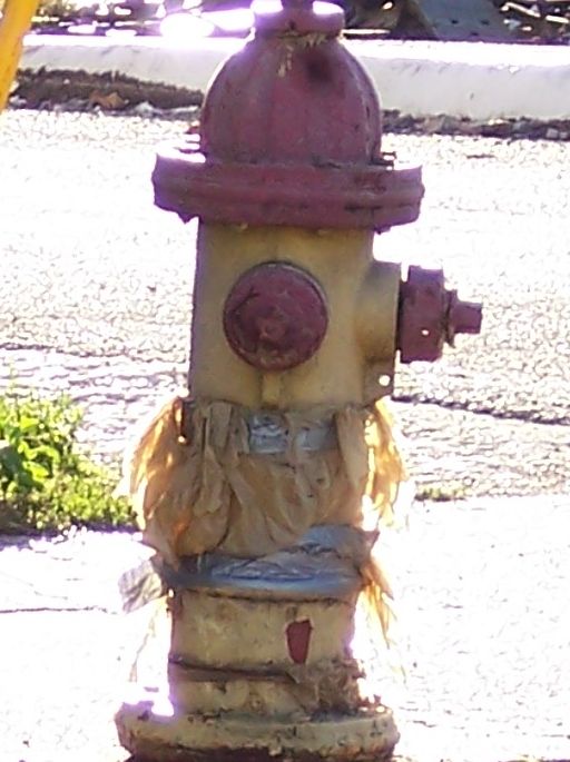 Waiting For a Train – photo 9