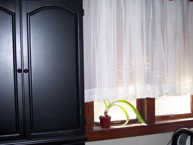 What is Black & White & Red All Over? Our Guest Bedroom!