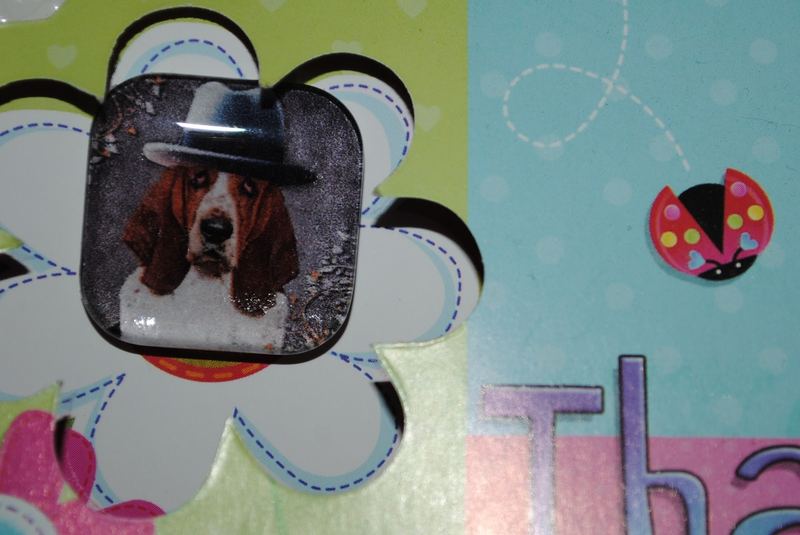 Pretty Magnets – photo 4