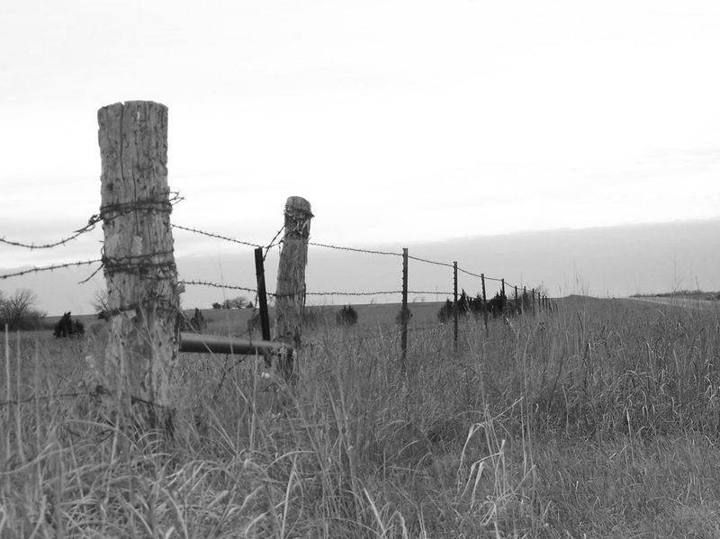 Watch Where You are Going #2 – photo 4