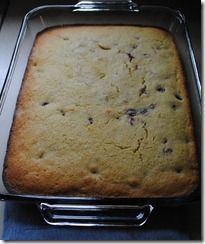 Lemon Berry Friendship Bread – photo 3