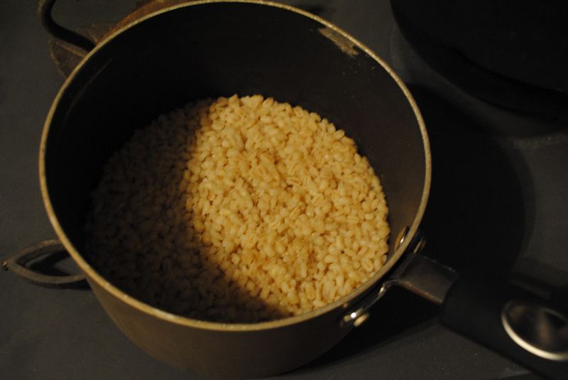 Barkin’ Barley Bars – photo 3