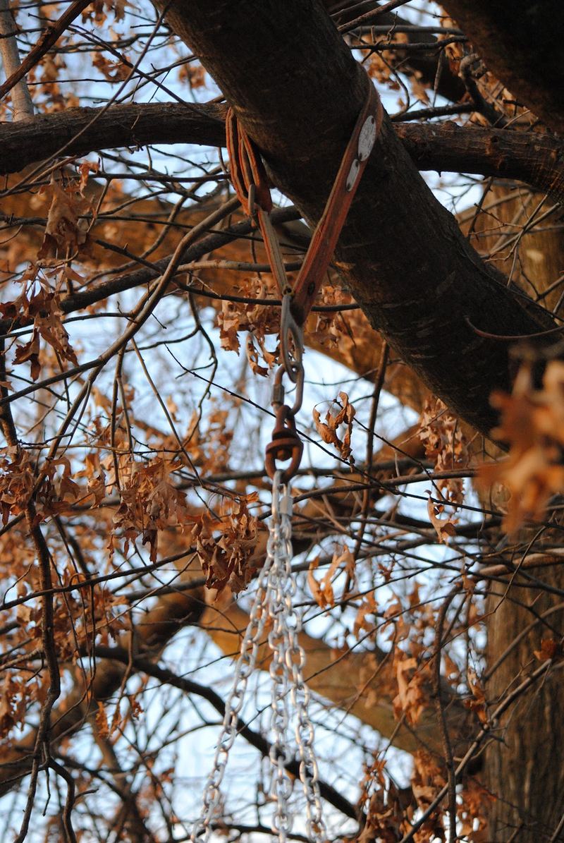 Happy Little Tire Swing β photo 3