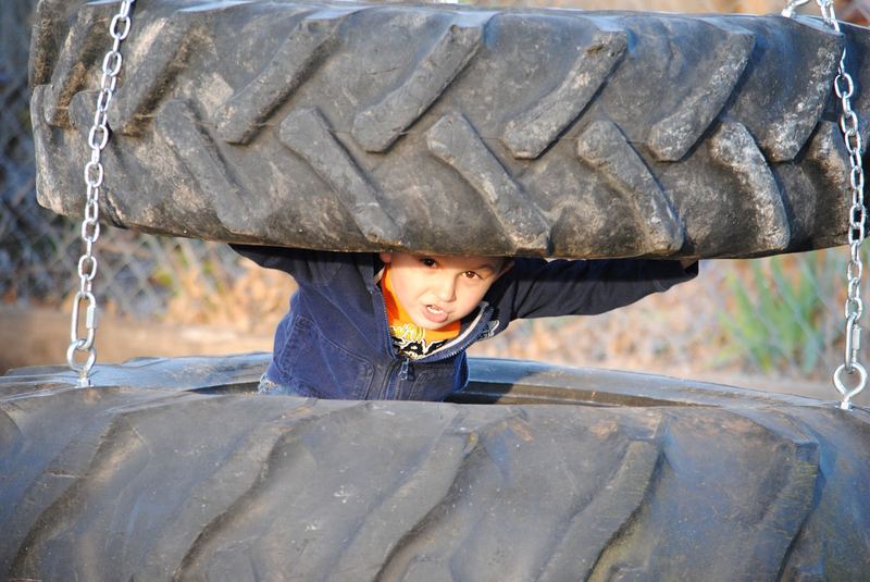 Happy Little Tire Swing β photo 6