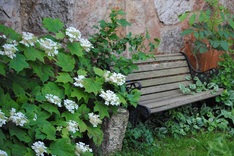 How Does Your Garden Grow? – photo 1