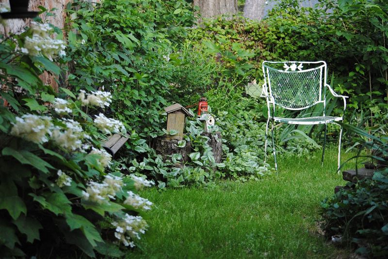How Does Your Garden Grow? – photo 2