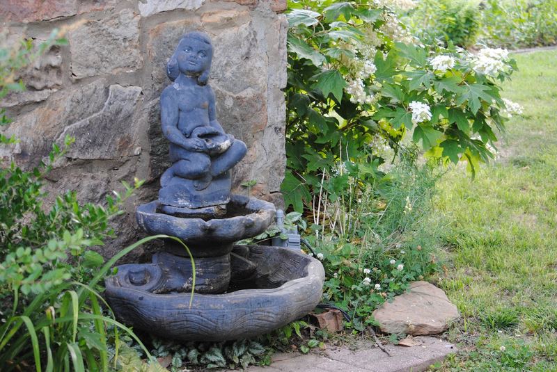 How Does Your Garden Grow? – photo 6