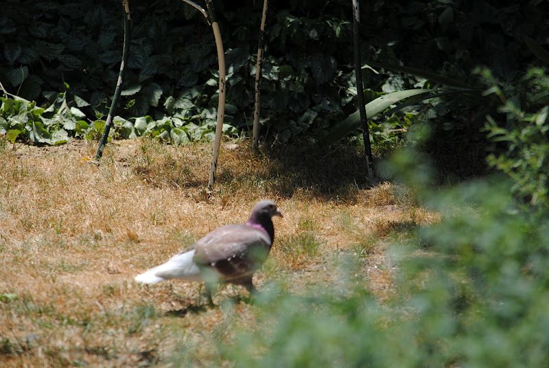 Lovely Surprise Guest – photo 1
