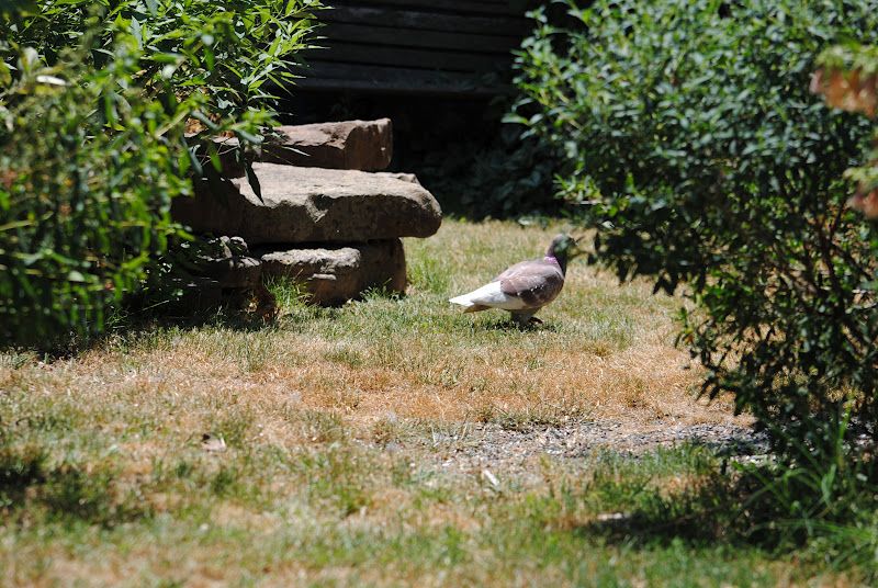 Lovely Surprise Guest – photo 9