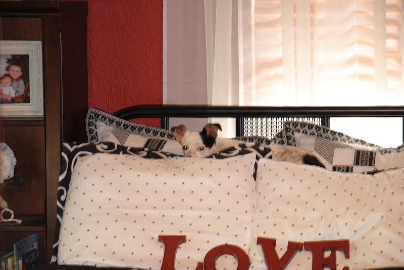 Black, White and Red Bedroom Makeover – photo 15