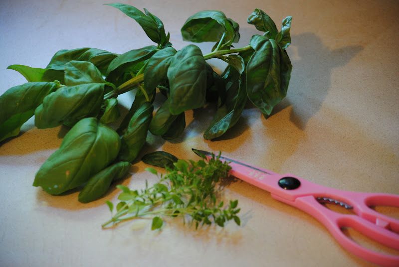 Easy Pizza Plus Herbs – photo 4