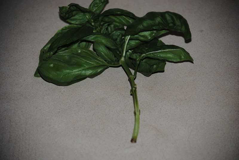 Easy Pizza Plus Herbs – photo 6
