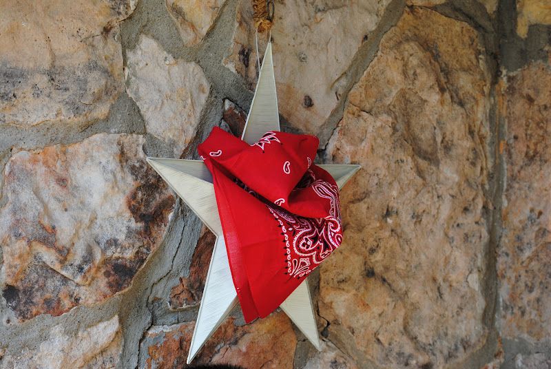 Independence Day Star – photo 4