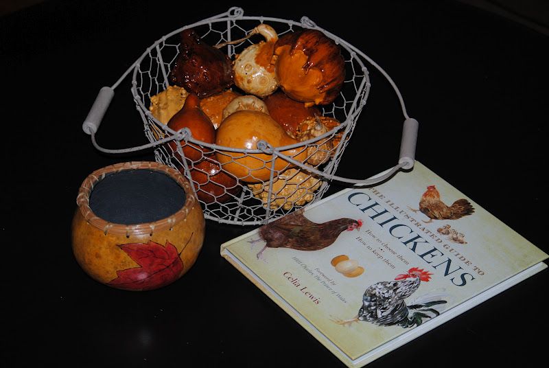 First Gourd Project β photo 1