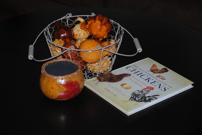 First Gourd Project β photo 13