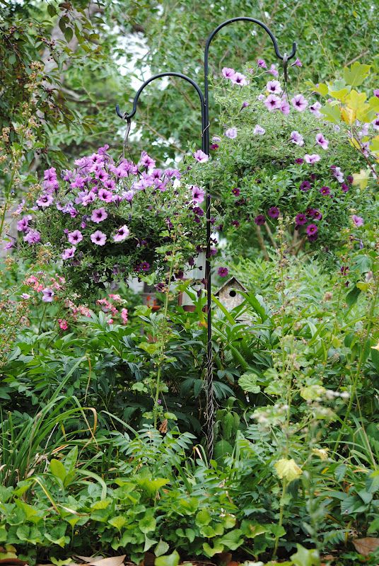 Hanging Baskets – photo 1