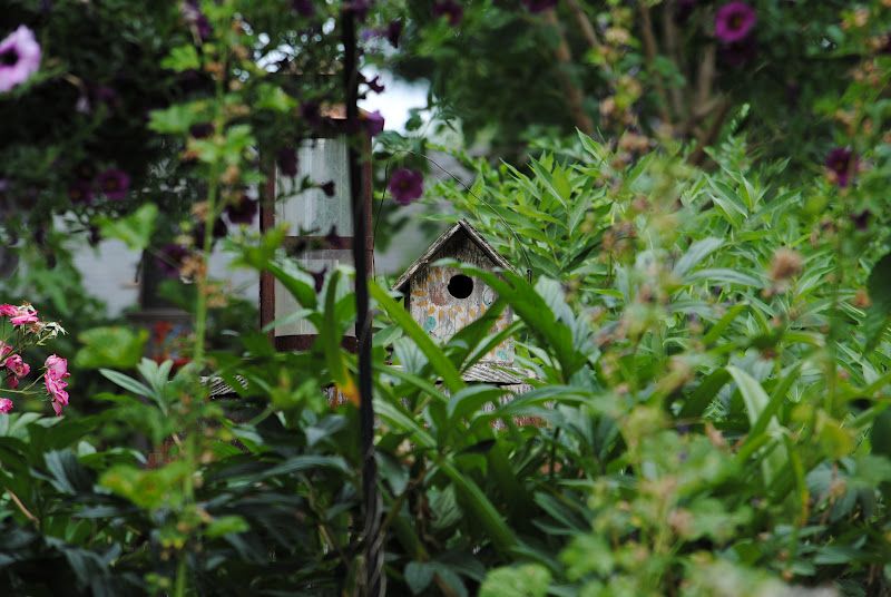 Hanging Baskets – photo 2