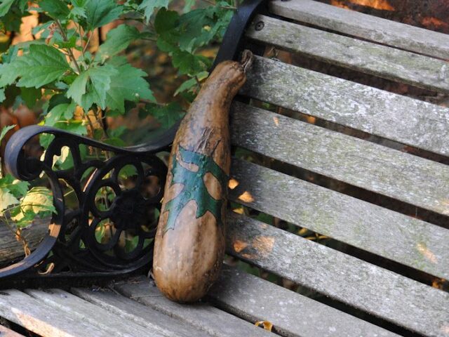 My Second Gourd Project – So Exciting!
