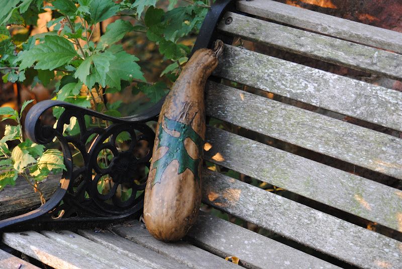 My Second Gourd Project - So Exciting! – photo 1