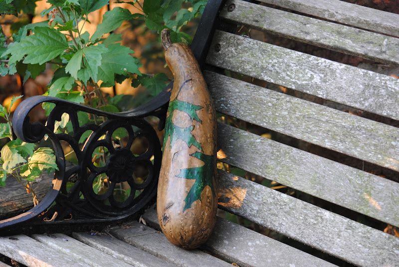 My Second Gourd Project - So Exciting! – photo 3