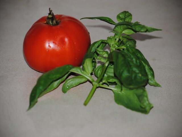Tomatoes with Basil
