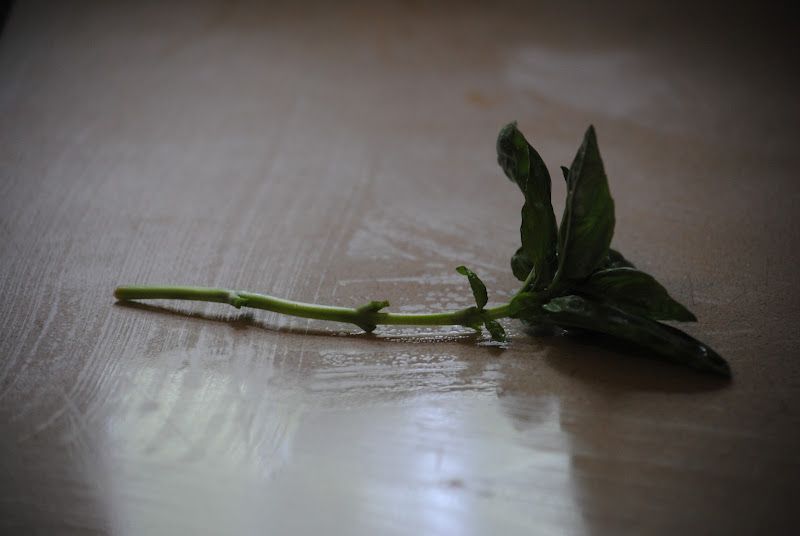 Tomatoes with Basil – photo 2