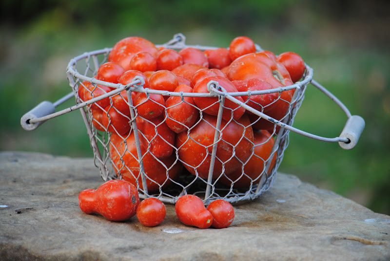 Garden Breakfast – photo 2
