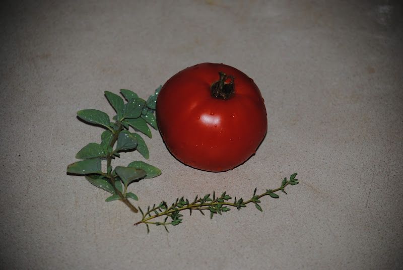 Tomatoes with Oregano – photo 1