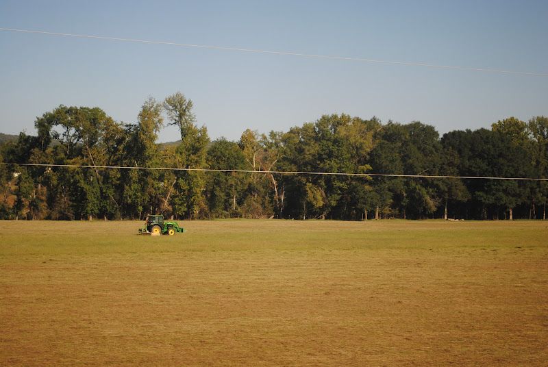 Arkansas Missouri Railroad – photo 6