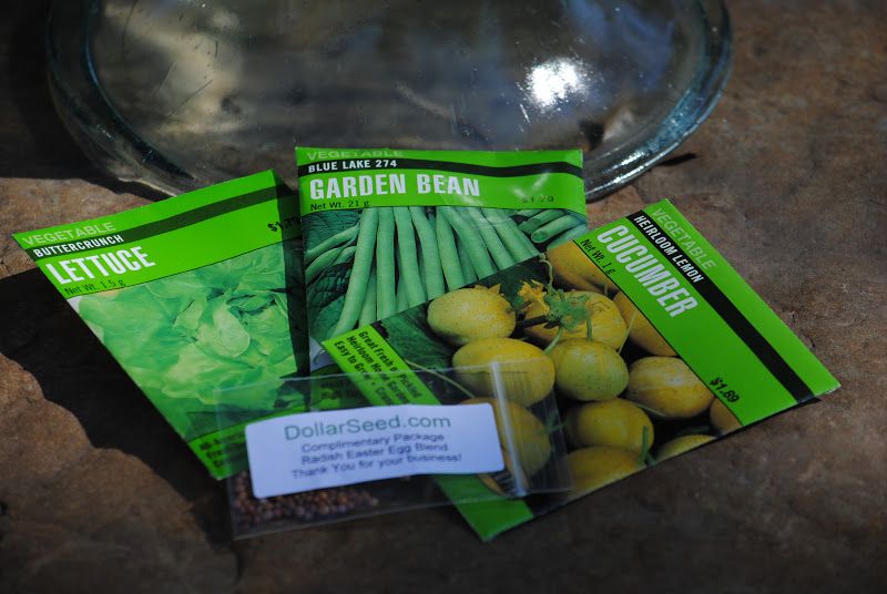 Great Spring Gardens begin in the Fall – photo 17