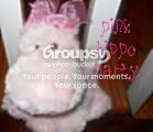Pink Hippo Party Feature!