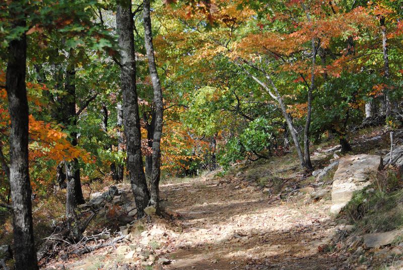 The Pasture, By Robert Frost – photo 6