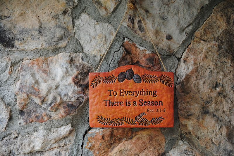 Buttoned Up Plaque β photo 1