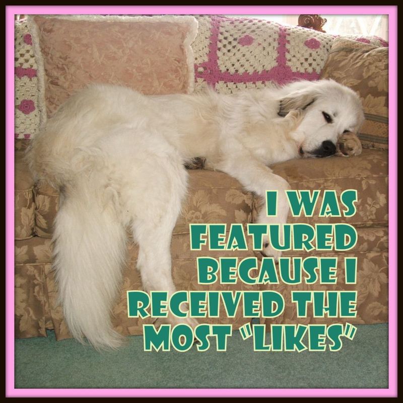The Most "Likes", http://godsgrowinggarden.com