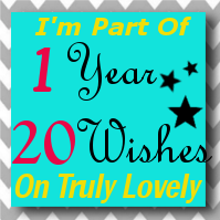 2013 Wrap Up- One Year, 20 Wishes