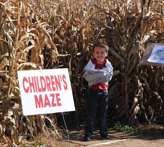 Ozark Corn Maze