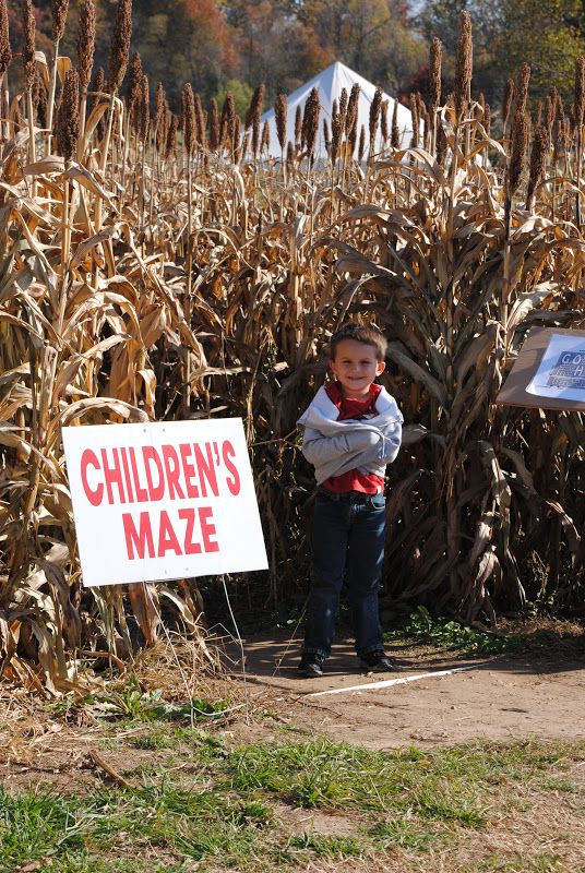 Ozark Corn Maze – photo 1