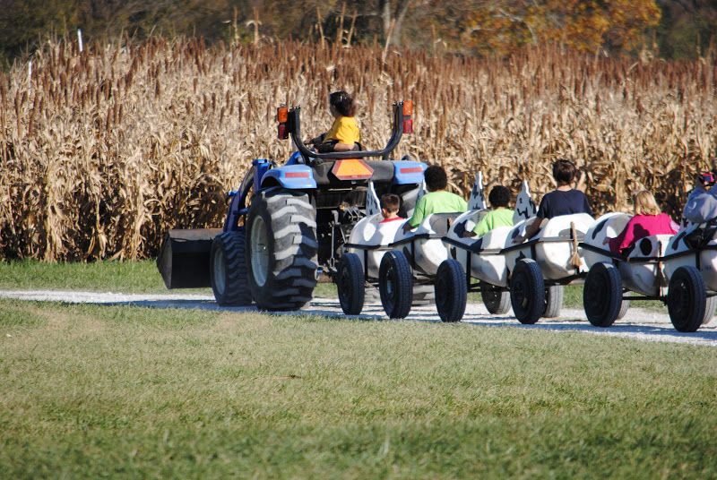 Ozark Corn Maze – photo 3